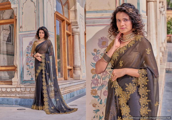 Ynf Chakra Shimmer New Designer Ethnic Wear Chiffon Latest Saree Collection